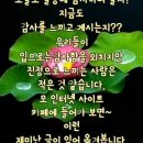 온공일 이미지
