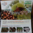 [에어프라이어 요리] 군밤/약단밤 - 쉽고 간단한데 맛있다!