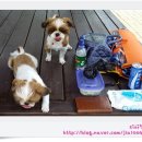 수도산체육공원 족구장 이미지
