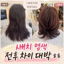 통영미용실 시월헤어살롱 새치 톤업발레아쥬 후기