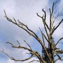 무성 태권도장 이미지