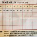 신동파인힐스 | 대구 근교 왜관 par3 신동파인힐스 파쓰리 방문 후기