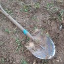 나도 시인 이미지