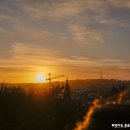 이탈리아 로마 일몰맛집 핀초 언덕 여행 후기Passeggiata del Pincio