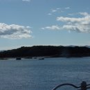 마량초등학교 이미지