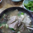 샵네일맛집