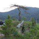 3형제농장 이미지