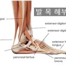 몸애반하다 이미지