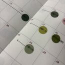 개정 | [해블리 14기] 해커스 토플 인강과 함께한 개정 토플 공부 후기