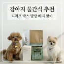 베지박스 | 강아지 음수량 늘리기 좋은 물간식 추천 리치즈 박스 말랑 베지 핫바 치킨 후기