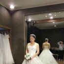 바이벨라 이미지