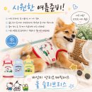 큐티쿨 | 강아지 여름옷 추천 바잇미 산리오캐릭터즈 쿨 슬리브리스 솔직 후기
