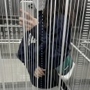 크라이오유 | 하욤로그 : 밀린 일상 (4월 말-6월)