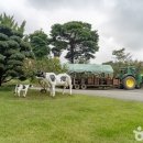 청계 한우 농장 이미지