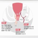 상쾌한 항구병원 이미지