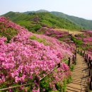 지리산학교스테이 이미지