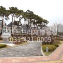 관악초등학교 앞 이미지