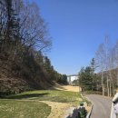 파인어플 | 골프 인생 최악 중의 최악의 캐디 양지파인cc 2인 조인 라운드 후기 (맞춤 골프레슨 스승님 앱)