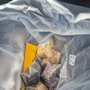 동광로6길 11 | 26년3월 제주여행 2일차