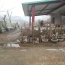 그림민박 이미지