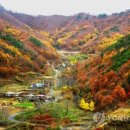 산골 이미지
