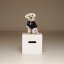 도희동물병원 이미지