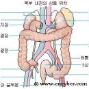 대장의 구조(상세 그림이랑 설명 올려두었어요~~~) 이미지