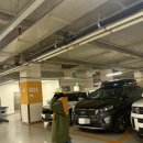 (주)레드오렌지 | 나이키 퍼시픽 오렌지 코디 후기 🧡 아디다스 가젤·도쿄 레드 대신 산 이유