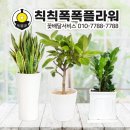 칙칙폭폭플라워 이미지