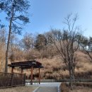 배울로2 네이버블로그
