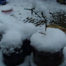 21세기 약국 이미지