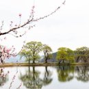 一事終爲(일사종위) 이미지