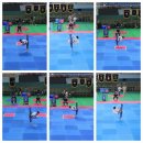 TS국가대표MVP태권도장 이미지