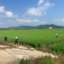 의성군농업기술센터 이미지