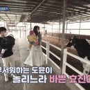 효진목장 이미지