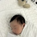 798 | 거제 아기미용실 헤어798 7개월 아들램 키즈미용실 방문후기 내돈내산