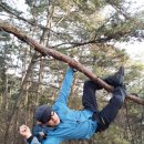 역재 이미지