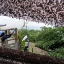 바글바글 이미지