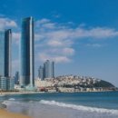 바른행정사사무소 이미지