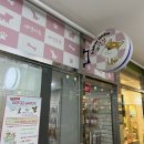 사쿠란보애견샵 부산대점 | 부산대 강아지 미용 전문 사쿠란보