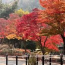 성주봉자연휴양림 이미지