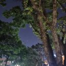 남궁한의원 이미지