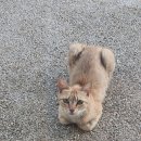 제주히든풀빌라 이미지