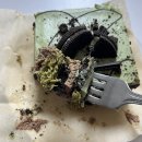 31140-6-73-22 | 투썸 두아박 생크림말차카페라떼 칼로리 내돈내산 후기 (스탬프 이벤트 ~ 4/7)