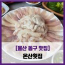 [울산 동구 맛집] 온산횟집 - #내돈내산 광어 우럭 줄돔 물회 매운탕 솔직 리뷰 후기