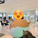 라이프오락실 | 인천 영종도 인스파이어 아레나 짱오락실 인형뽑기 팁
