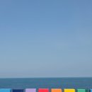 동막자연횟집민박 | 여행 - 제주 도심여행(도두무지개해안도로, 귤귤스토어 도두점, 삼해횟집, 하리보월드, 피커스커피, 정대)