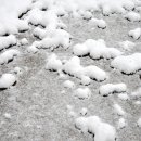 뚝섬한강공원-11 이미지