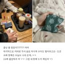 (주)새운터 | 뀱두근쬰하루