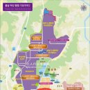 아산시, 아산탕정 지중해마을 夜한 콘서트 성료 이미지